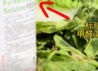 Formaldehyde solution labelled next to cabbages, from 8world coverage of the Hebei case
