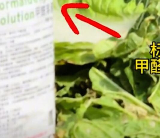 Formaldehyde solution labelled next to cabbages, from 8world coverage of the Hebei case
