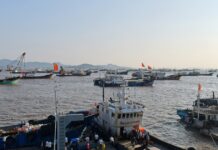 China Fisherman Missing at Sea for 11 Days Returns Home After Family Had Already Made Funeral Arrangements Fishing boats moored in Shenjiamen fishing harbor, Zhoushan, Zhejiang