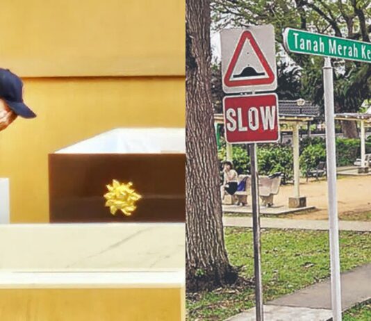Delivery Rider, 64, Dies After Falling Into Tanah Merah Condo Swimming Pool While Making Delivery Shin Min composite of bereaved relative and Tanah Merah Kechil Avenue street sign for delivery rider pool death story
