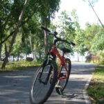 Woman Injured at East Coast Park Duathlon After Fellow Cyclist Allegedly Hits Her and Rides Off East Coast Park cycling path (race context; not the injured rider)