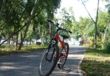 Woman Injured at East Coast Park Duathlon After Fellow Cyclist Allegedly Hits Her and Rides Off East Coast Park cycling path (race context; not the injured rider)