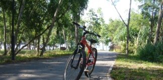 East Coast Park cycling path (race context; not the injured rider)
