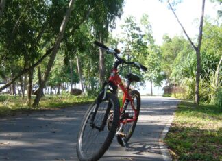 East Coast Park cycling path (race context; not the injured rider)