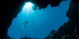 Scuba diver silhouette in underwater cave light representing diving in Palau