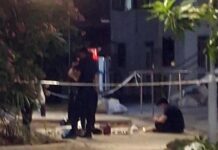 Man & Woman Arrested After Police Find Karambit Knives, Suspected Drugs, Vapes & Duty-Unpaid Cigarettes in Toa Payoh Car