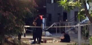 Man & Woman Arrested After Police Find Karambit Knives, Suspected Drugs, Vapes & Duty-Unpaid Cigarettes in Toa Payoh Car