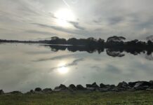 Body of 30-Year-Old Man Recovered From Waters at Yishun Dam Yishun Dam