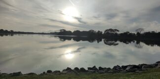 Yishun Dam