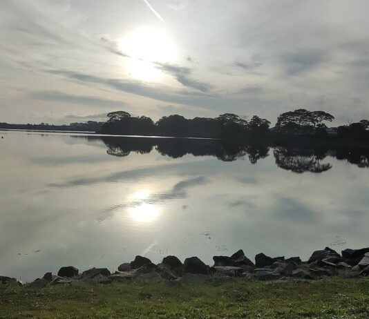 Body of 30-Year-Old Man Recovered From Waters at Yishun Dam Yishun Dam