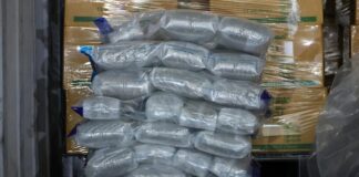 Cannabis blocks found beside glove boxes in a shipping container (CNB/ICA release via Chinese media)
