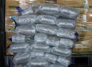 Cannabis blocks found beside glove boxes in a shipping container (CNB/ICA release via Chinese media)