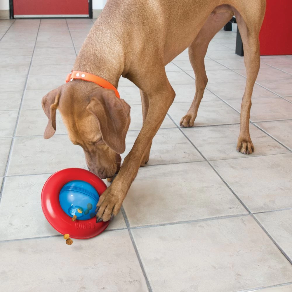 KONG Gyro Treat-Dispensing Dog Toy