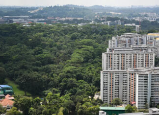Aerial view of HDB flats beside greenery at Maju Forest, Singapore