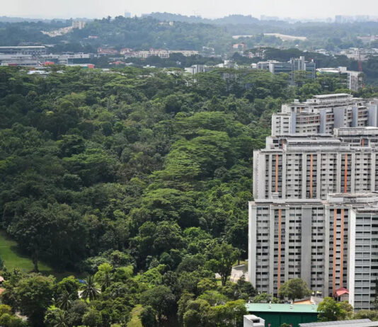Aerial view of HDB flats beside greenery at Maju Forest, Singapore