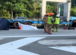 Emergency personnel at the scene of an accident beside a trailer truck on an expressway