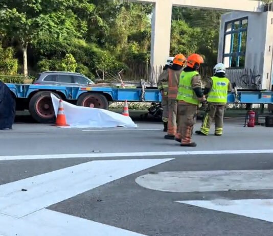 Emergency personnel at the scene of an accident beside a trailer truck on an expressway