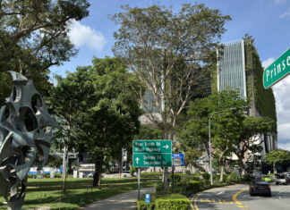 Prinsep Street road sign beside a sculpture, trees and a road junction