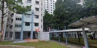 Block 121A Rivervale Drive in Sengkang (Image: Google Street View)